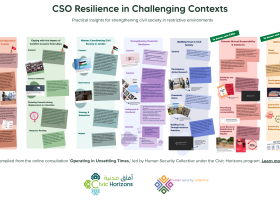 CSO Resilience in Challenging Contexts